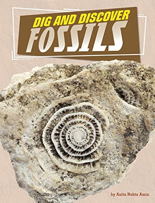 Dig And Discover Fossils-..