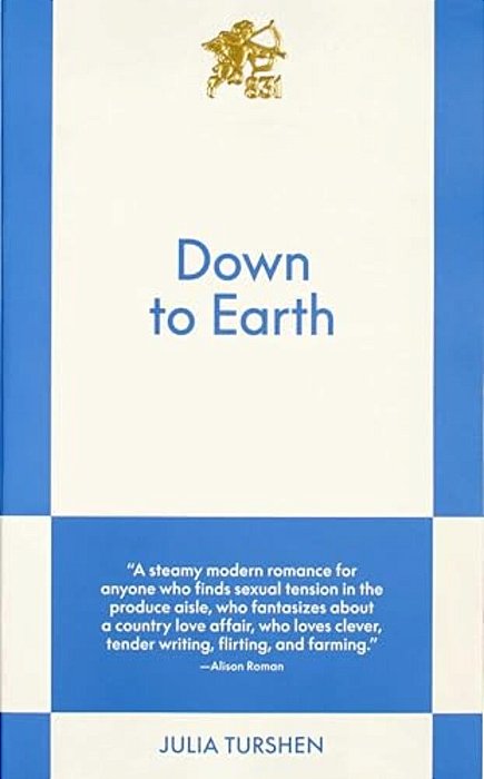 Down To Earth: An 831 Stories Romance-..