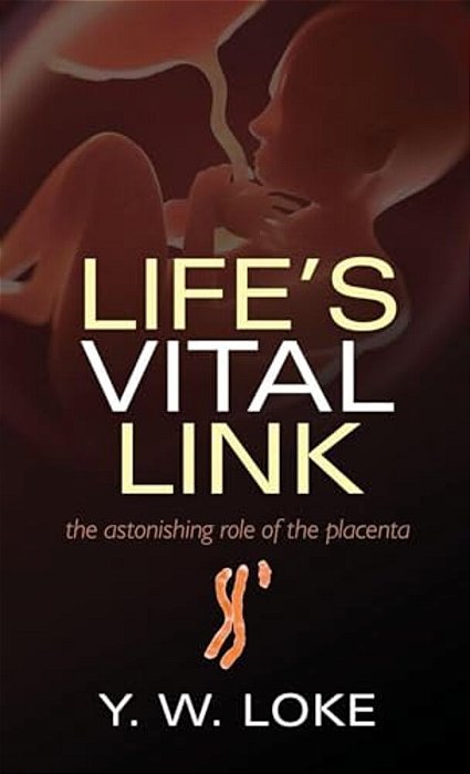 Life's Vital Link: The Astonishing Role Of The Placenta-..