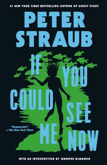 If You Could See Me Now-..