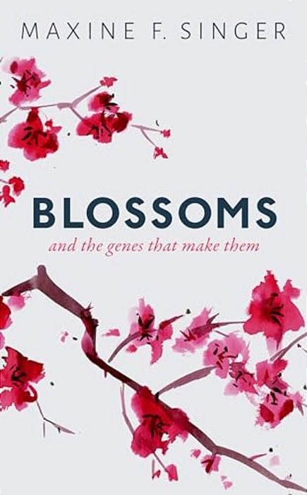 Blossoms C-..