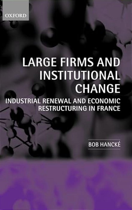 Large Firms And Institutional Change: Industrial Renewal And Economic Restructuring In France-..