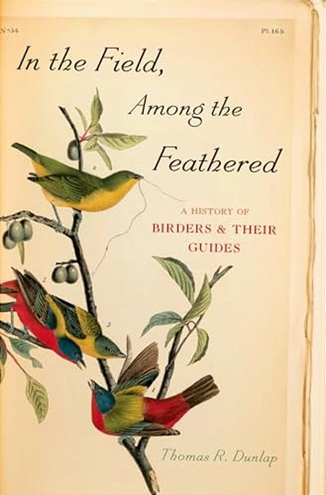 In Field Among Feathered C-..