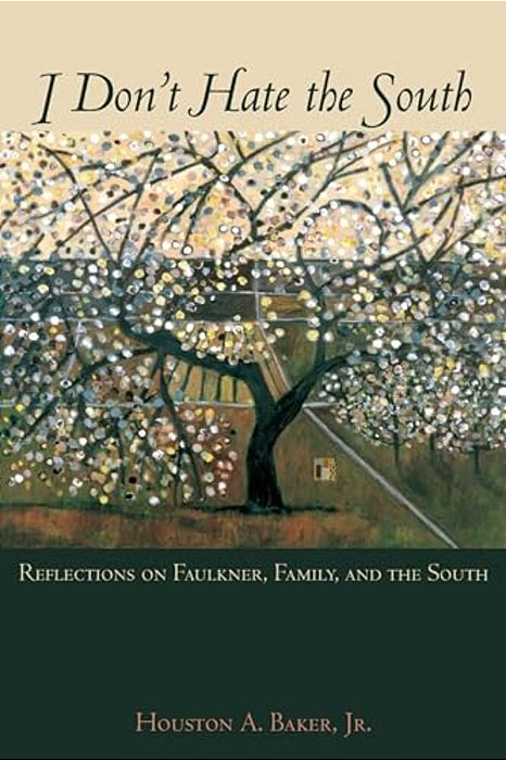 I Don't Hate The South: Reflections On Faulkner, Family, And The South-..