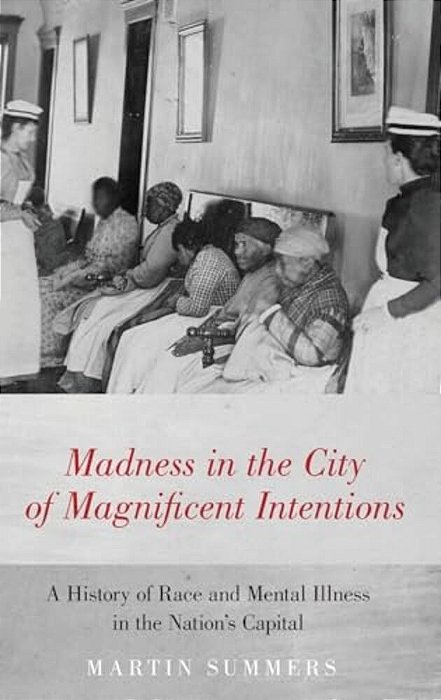 Madness In The City Of Magnificent Intentions-..