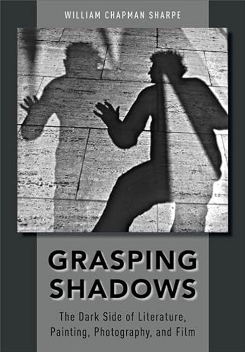 Grasping Shadows: The Dark Side Of Literature, Painting, Photography, And Film-..