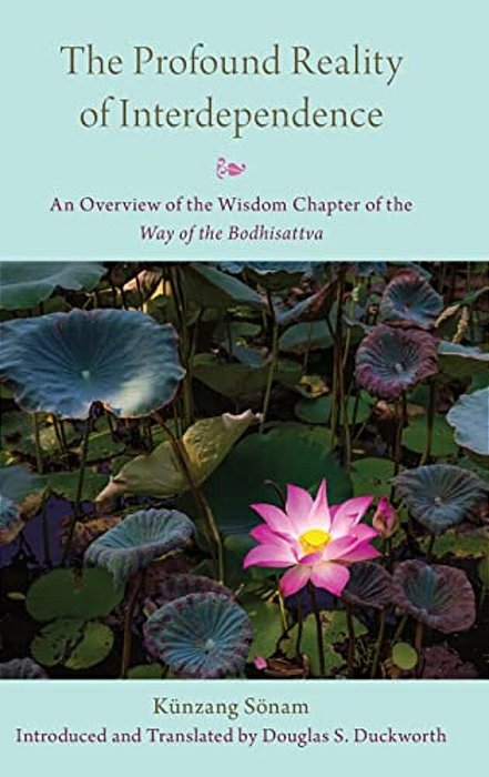 Profound Reality Of Interdependence: An Overview Of The Wisdom Chapter Of The Way Of The Bodhisattva-..