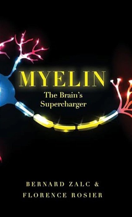 Myelin: The Brain's Supercharger-..