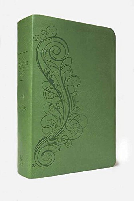 New Inductive Study Bible-Esv-..