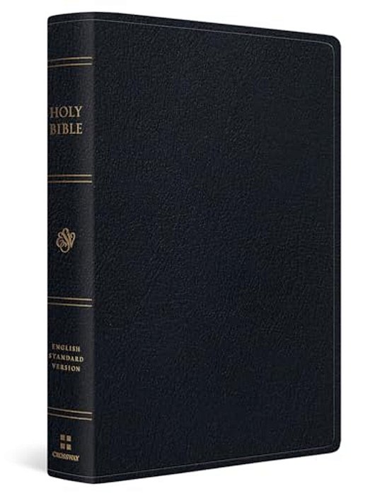 Esv Giant Print Thinline Bible, Red Letter (Genuine Leather, Black)-..