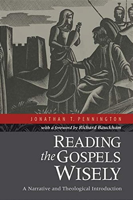 Reading The Gospels Wisely: A Narrative And Theological Introduction-..
