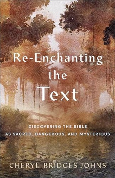 Re-Enchanting The Text: Discovering The Bible As Sacred, Dangerous, And Mysterious-..
