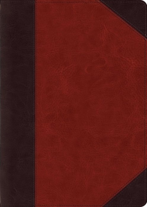 Esv Study Bible, Large Print (Trutone, Brown/Cordovan, Portfolio Design)-..