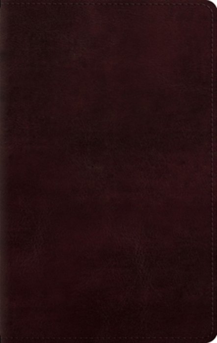 Large Print Personal Size Bible-Esv-..