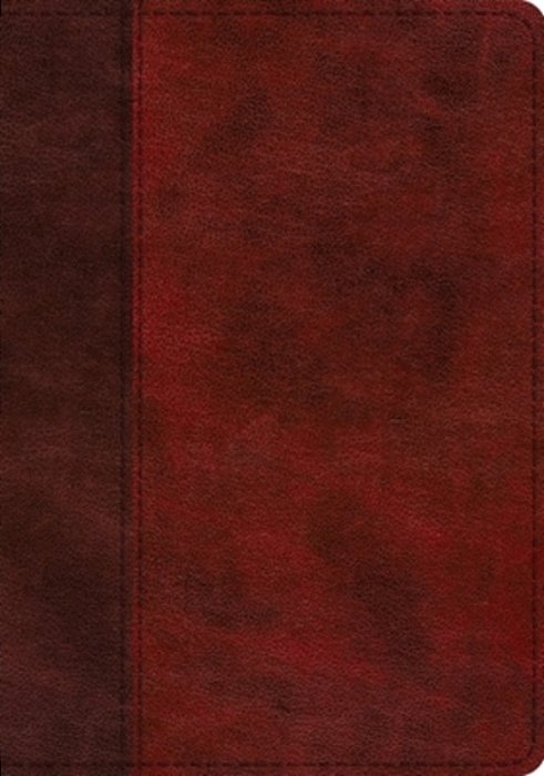 Esv Single Column Journaling Bible, Large Print (Trutone, Burgundy/Red, Timeless Design)-..