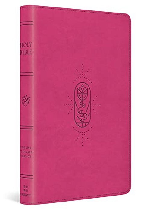 Esv Kid's Bible, Thinline, Red Letter (Trutone, Berry, The True Vine Design)-..