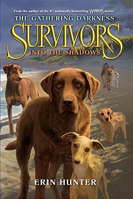 Into The Shadows-..
