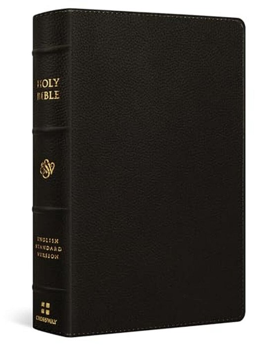 Esv Giant Print Personal Size Bible, Red Letter (Buffalo Leather, Deep Brown)-..