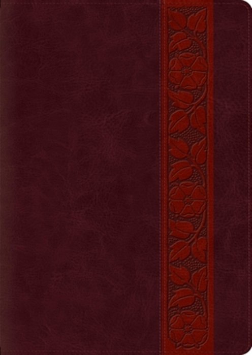 Study Bible-Esv-large Print Trellis Design-..