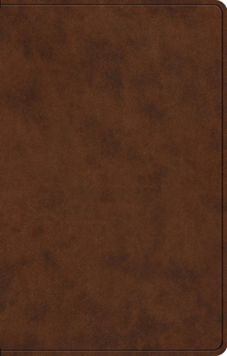Esv Premium Gift Bible (Trutone, Brown)-..