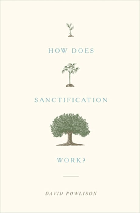 How Does Sanctification Work?-..