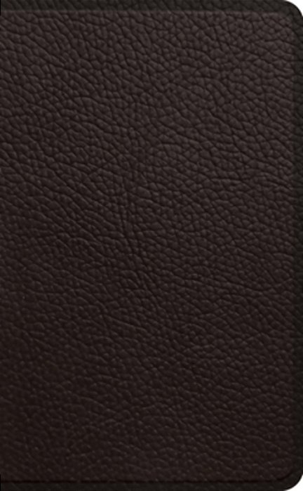 Esv Pocket Bible-..