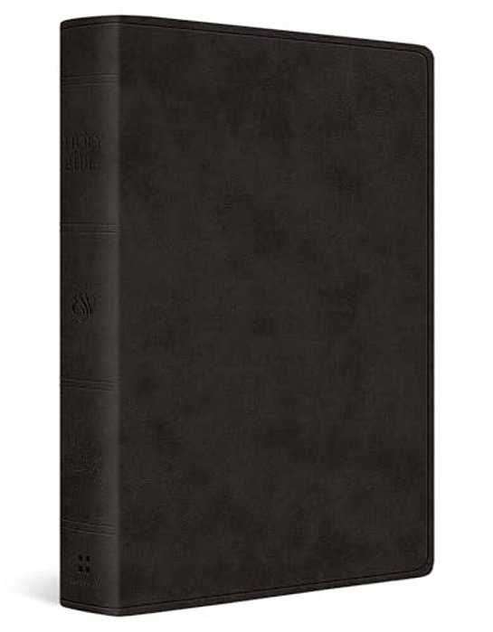 Esv Giant Print Value Personal Size Bible (Trutone, Black)-..
