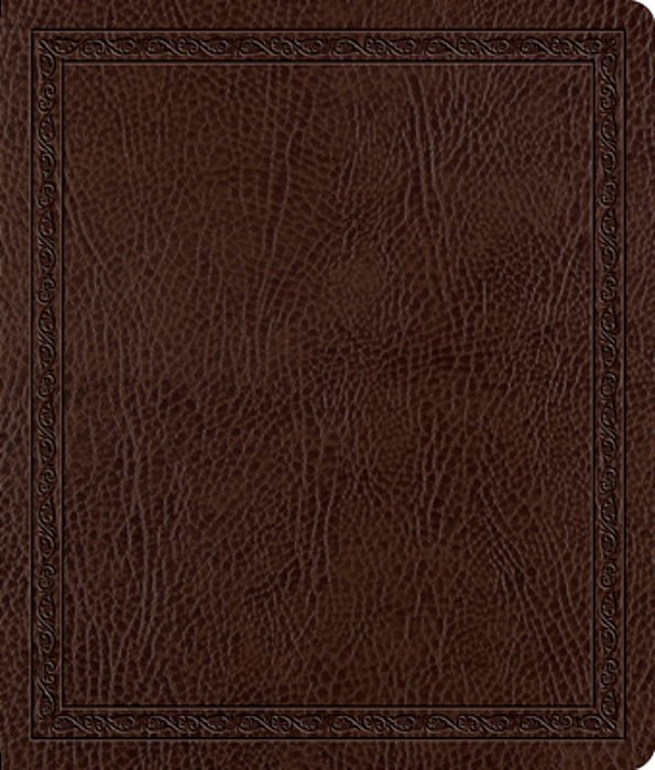 Journaling Bible-Esv-..