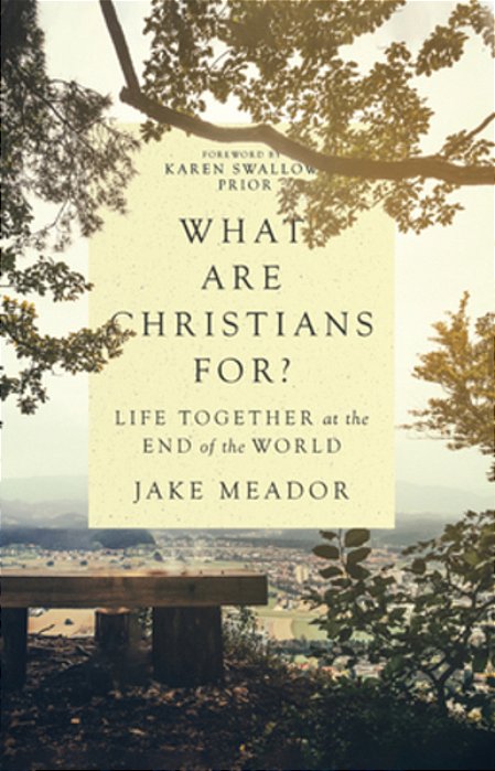 What Are Christians For?: Life Together At The End Of The World-..