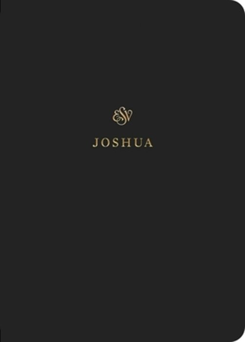 Esv Scripture Journal: Joshua (Paperback)-..