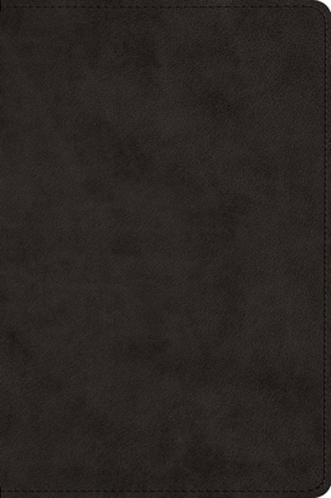 Large Print Bible-Esv-..
