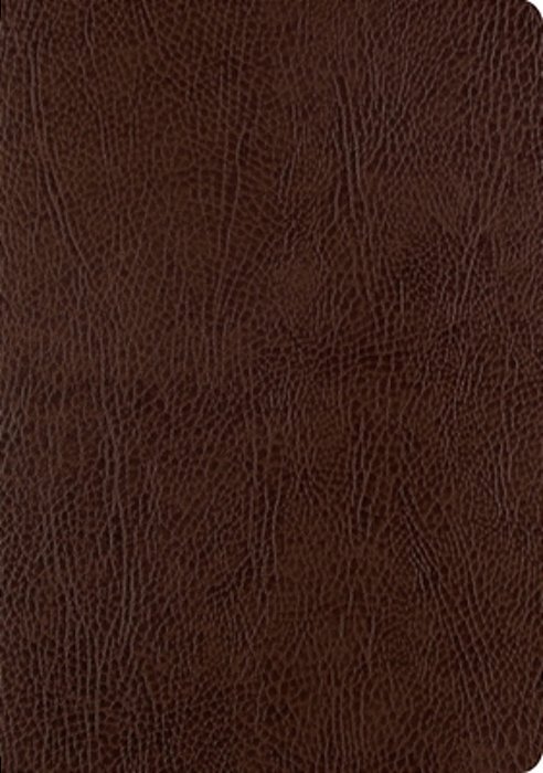 Esv Single Column Journaling Bible, Large Print (Mocha)-..