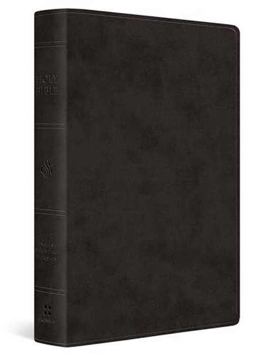Esv Giant Print Value Thinline Bible (Trutone, Black)-..