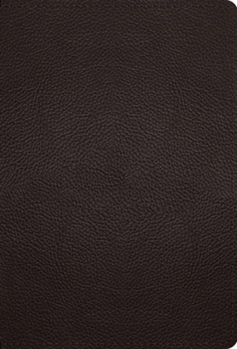 Esv Large Print Compact Bible (Buffalo Leather, Deep Brown)-..