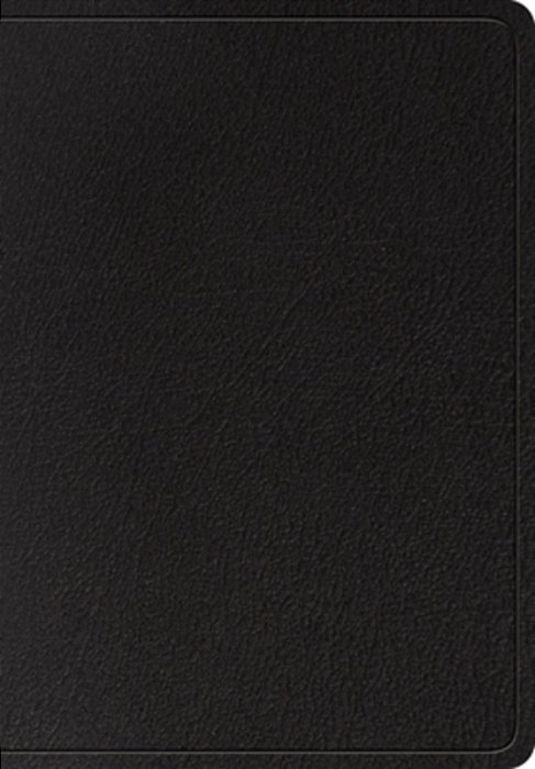Esv Super Giant Print Bible (Black)-..