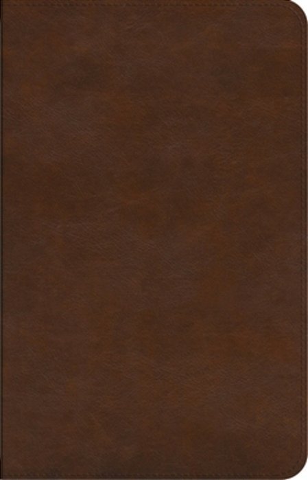 Esv Concise Study Bible(tm) (Trutone, Brown)-..