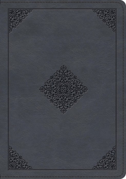Esv Large Print Wide Margin Bible (Trutone, Slate Blue, Ornament Design)-..