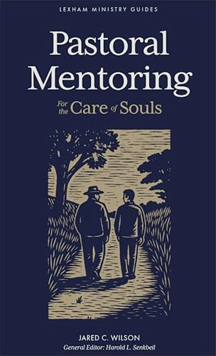 Pastoral Mentoring: For The Care Of Souls-..