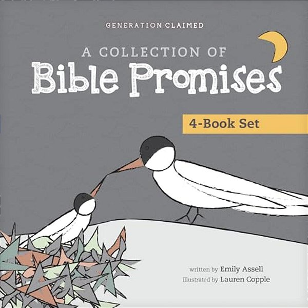 A Collection Of Bible Promises 4-Book Set: When It Hurts/You Are/Tonight/chosen-..