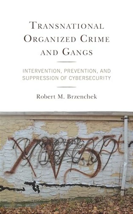 Transnational Organized Crime And Gangs: Intervention, Prevention, And Suppression Of Cybersecurity-..