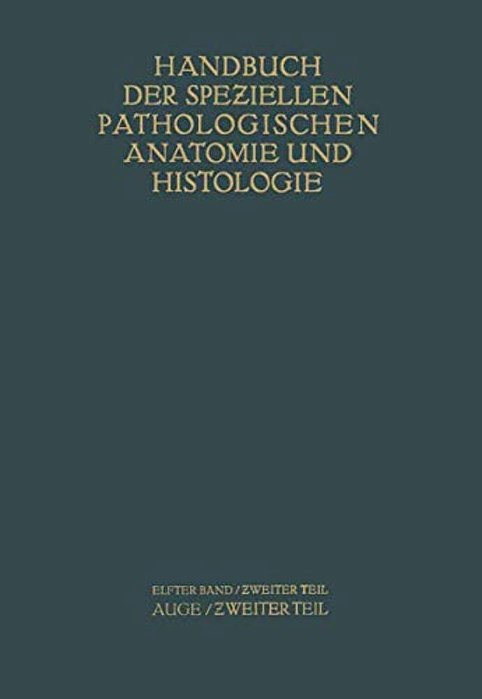 Auge: Zweiter Teil-..