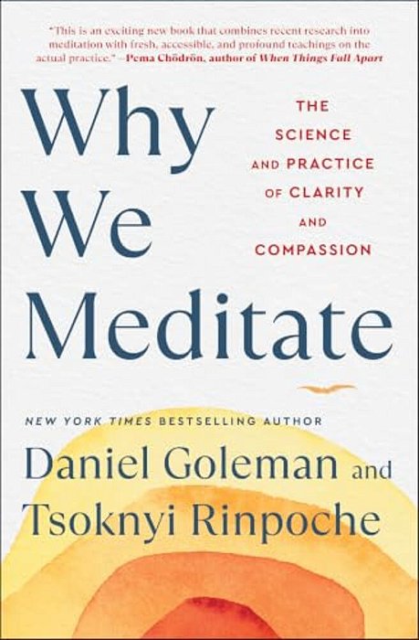 Why We Meditate: The Science And Practice Of Clarity And Compassion-..