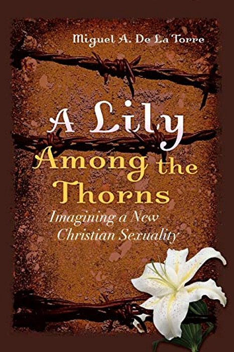 A Lily Among The Thorns: Imagining A New Christian Sexuality-..