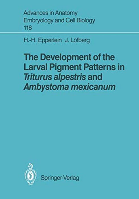 The Development Of The Larval Pigment Patterns In Triturus Alpestris And Ambystoma Mexicanum-..