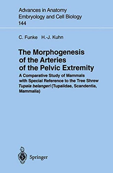 The Morphogenesis Of The Arteries Of The Pelvic Extremity: A Comparative Study Of Mammals With Special Reference To The Tree Shrew Tupaia Belangeri (T-..