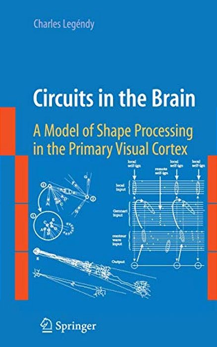Circuits In The Brain: A Model Of Shape Processing In The Primary Visual Cortex-..