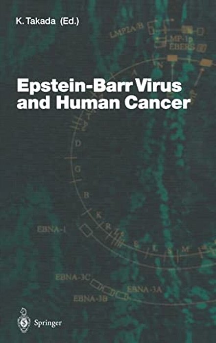 Epstein-Barr Virus And Human Cancer-..