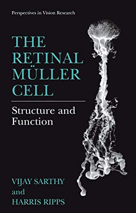 The Retinal Müller Cell: Structure And Function-..