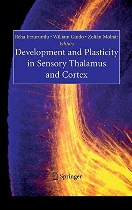 Development And Plasticity In Sensory Thalamus And Cortex-..