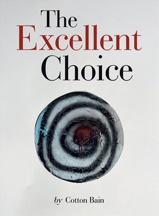 The Excellent Choice-..